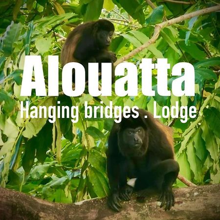 Alouatta Lodge And Canopy Кахуіта Екстер'єр фото