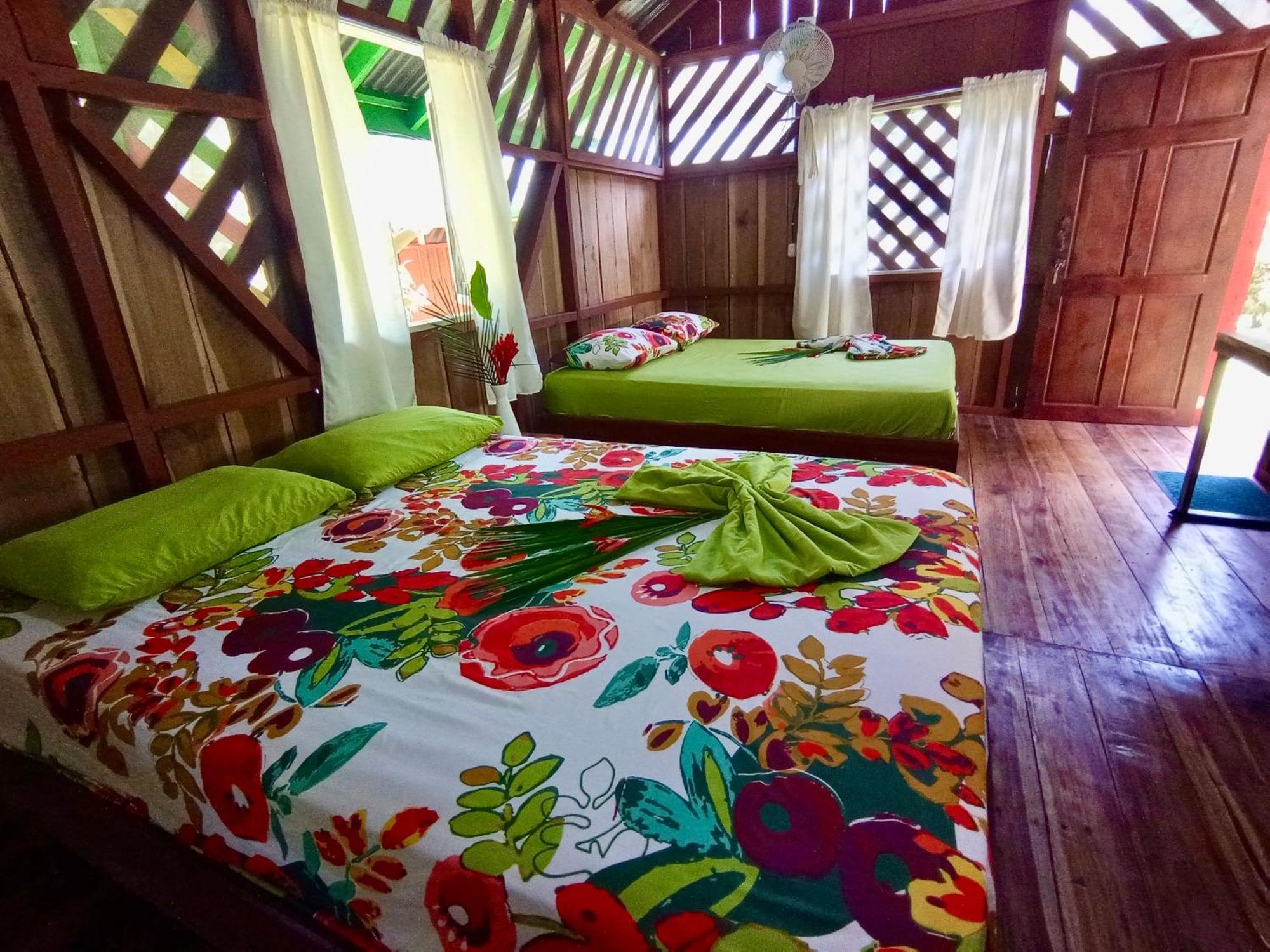 Alouatta Lodge And Canopy Кахуіта Екстер'єр фото