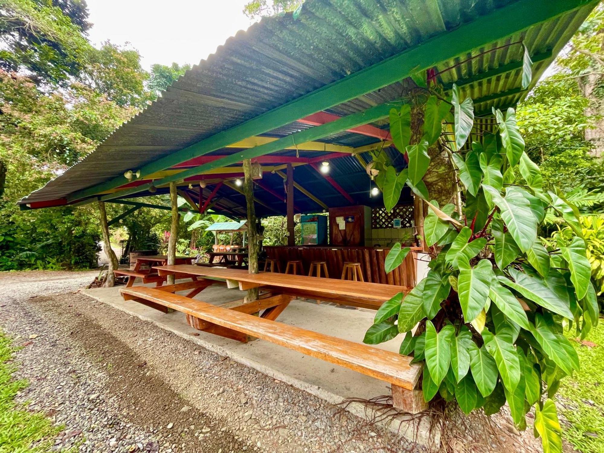Alouatta Lodge And Canopy Кахуіта Екстер'єр фото
