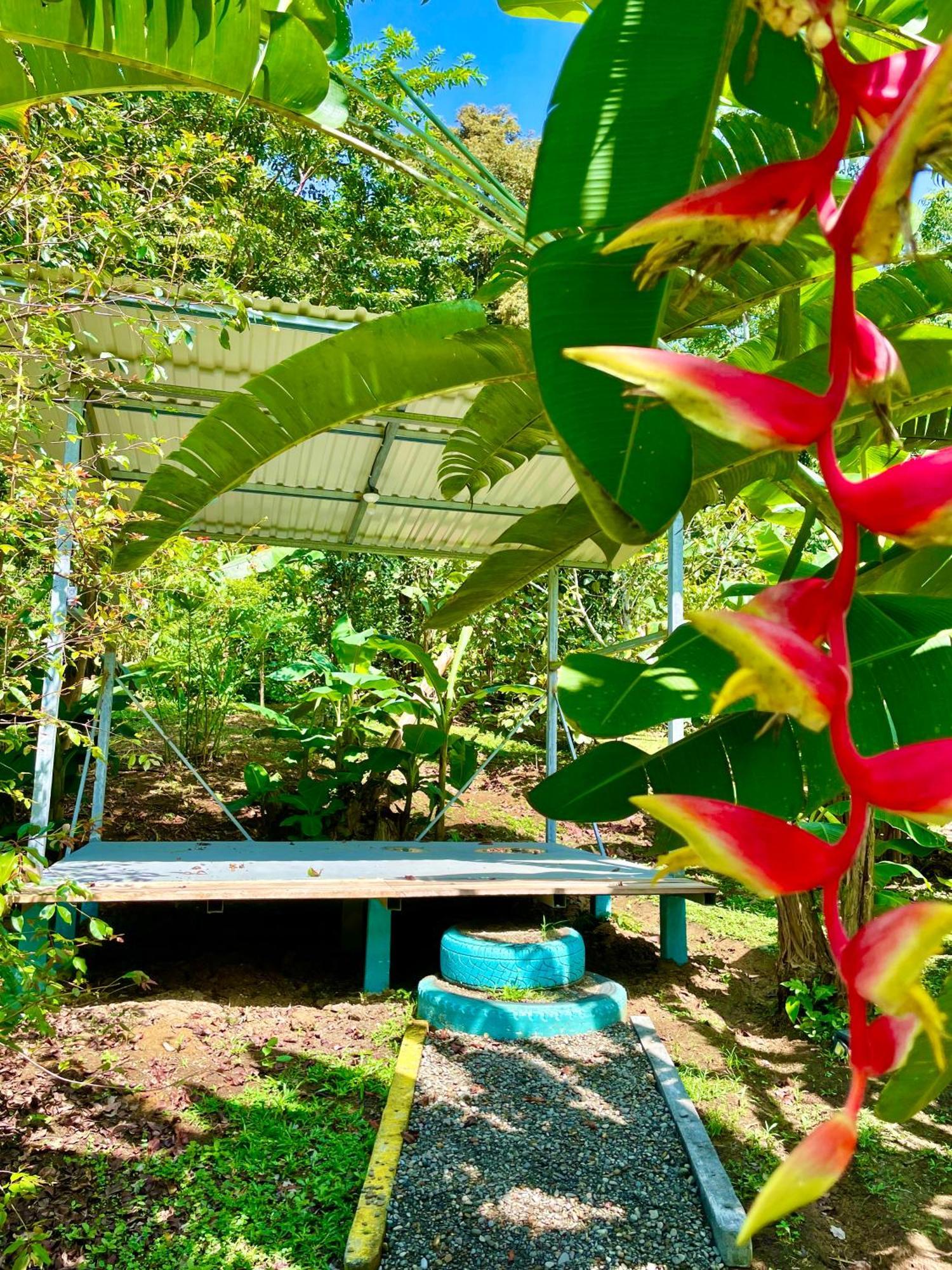 Alouatta Lodge And Canopy Кахуіта Екстер'єр фото