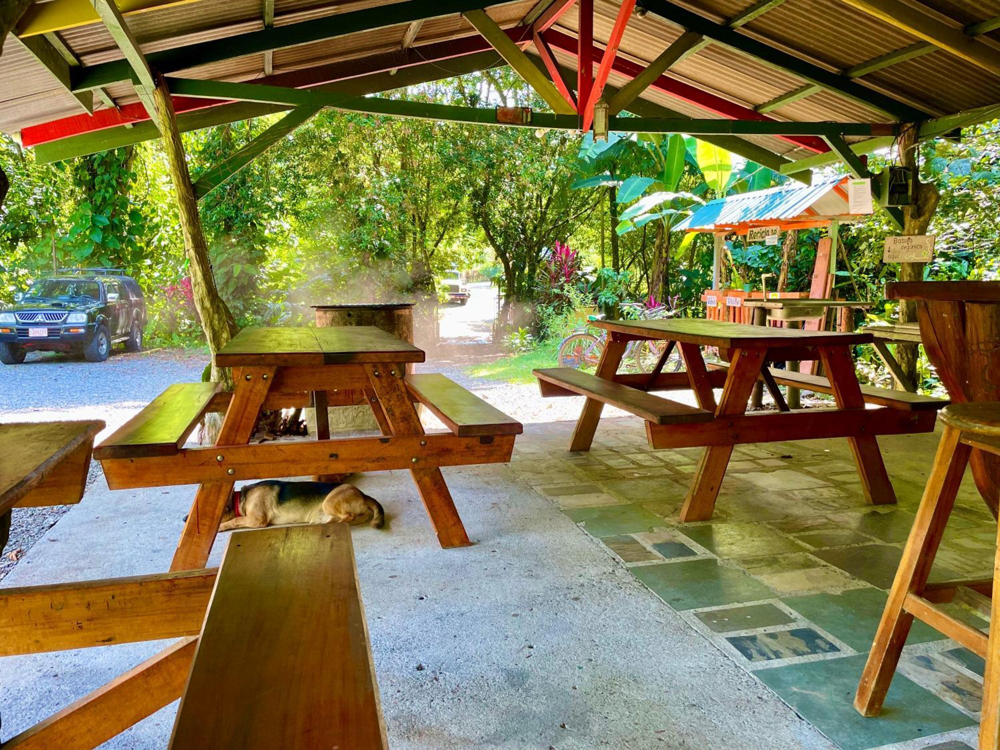 Alouatta Lodge And Canopy Кахуіта Екстер'єр фото