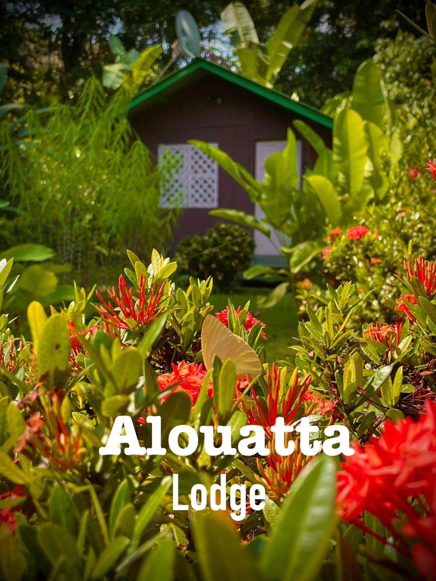 Alouatta Lodge And Canopy Кахуіта Екстер'єр фото