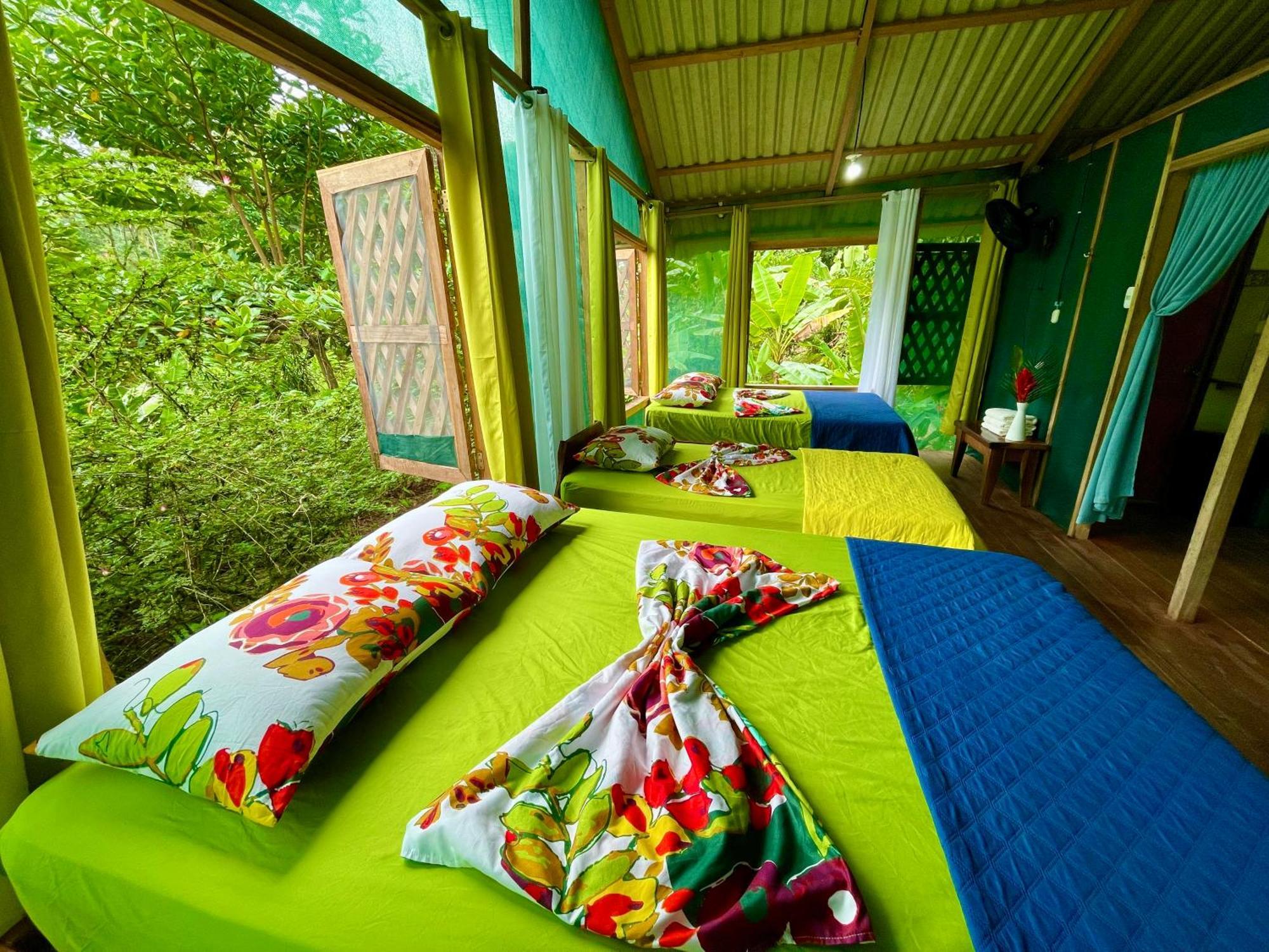 Alouatta Lodge And Canopy Кахуіта Екстер'єр фото