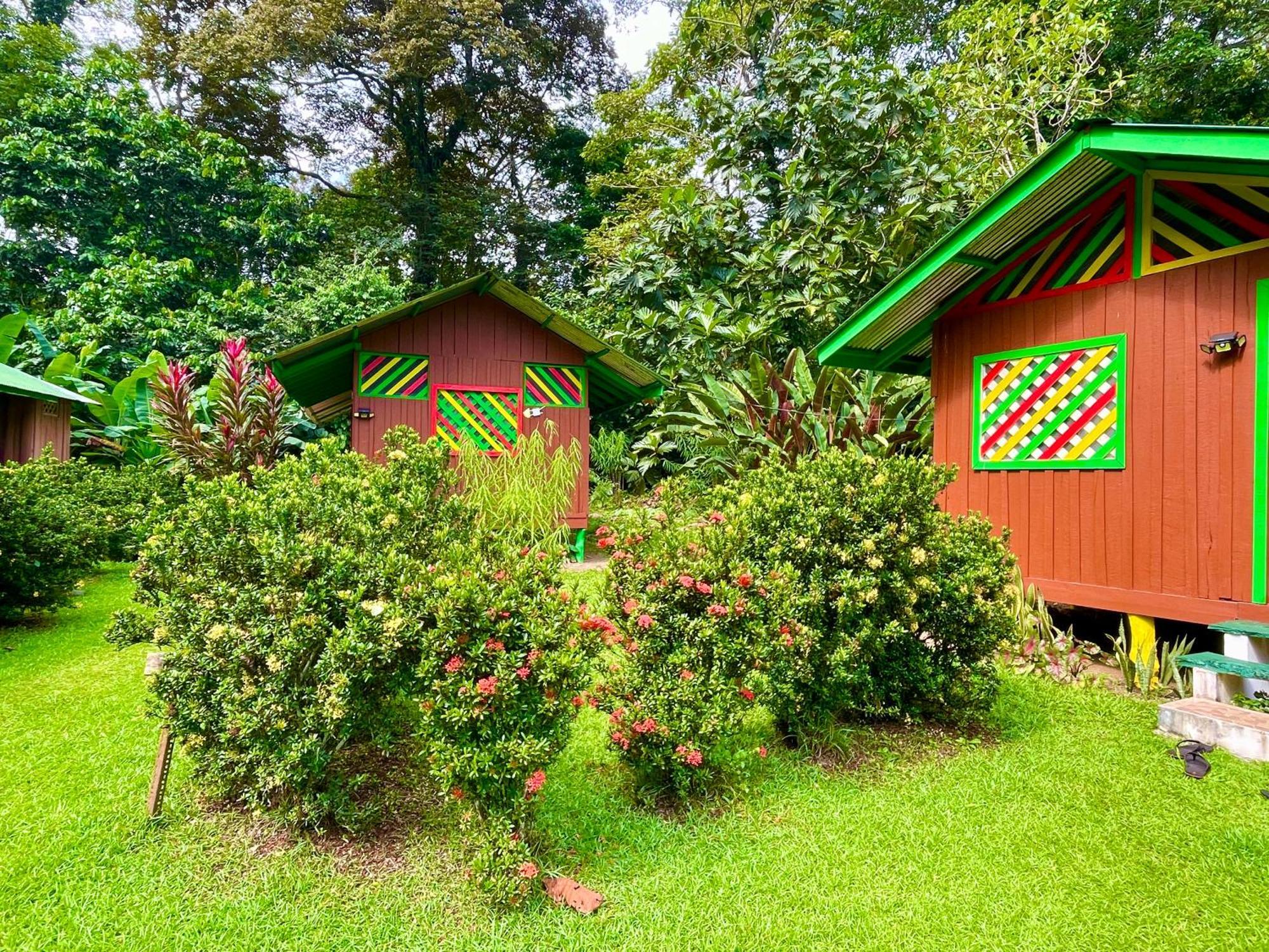 Alouatta Lodge And Canopy Кахуіта Екстер'єр фото