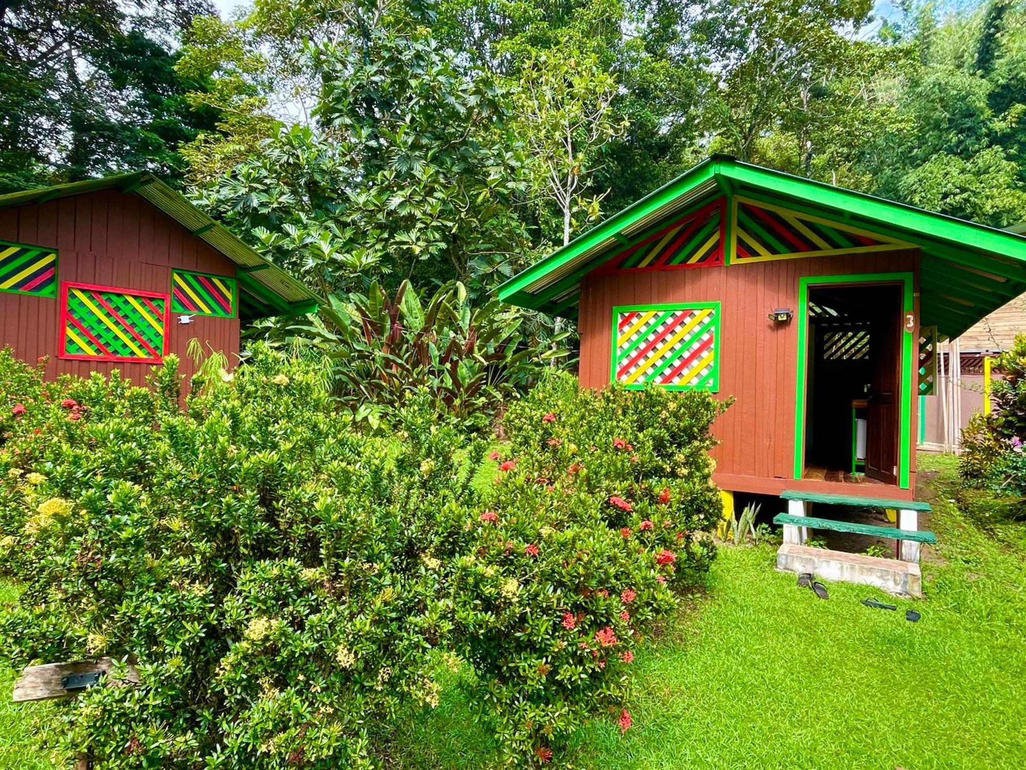 Alouatta Lodge And Canopy Кахуіта Екстер'єр фото