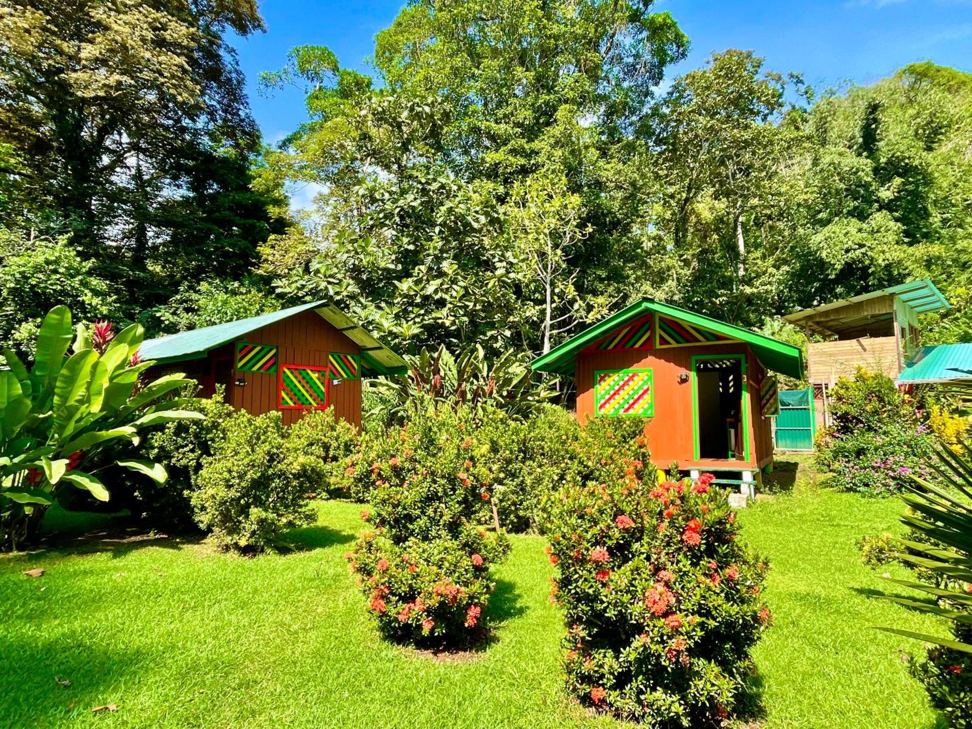 Alouatta Lodge And Canopy Кахуіта Екстер'єр фото