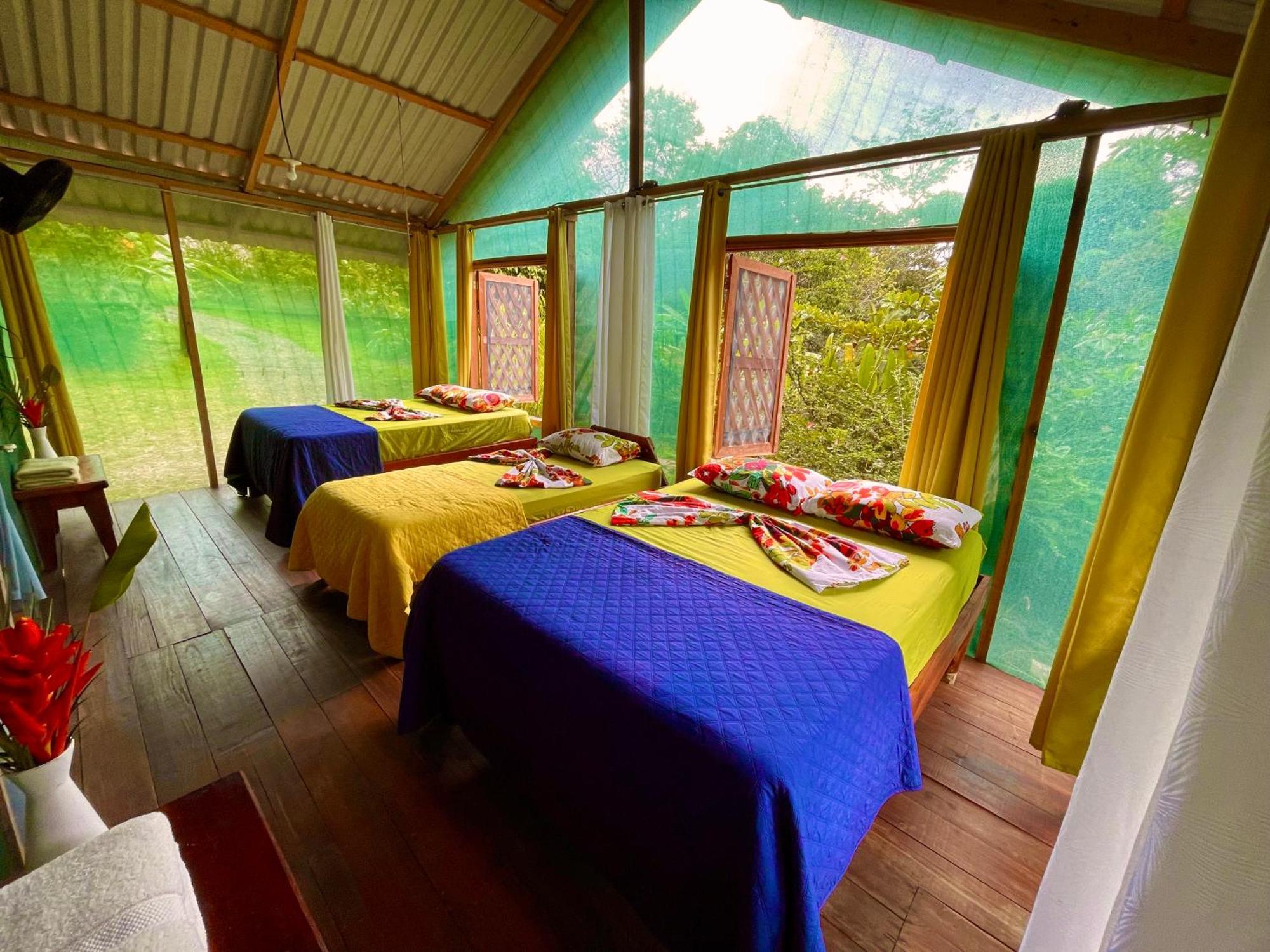 Alouatta Lodge And Canopy Кахуіта Екстер'єр фото