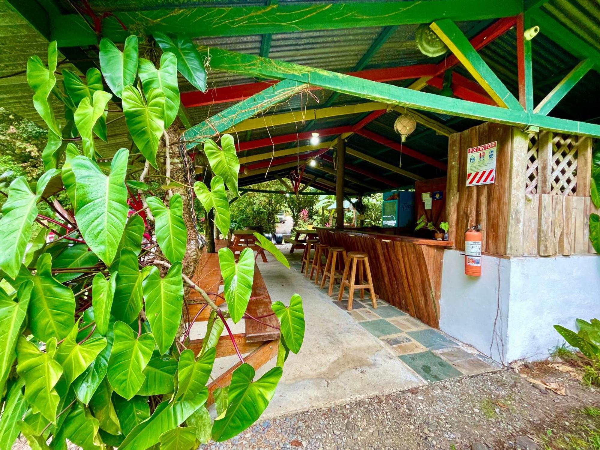 Alouatta Lodge And Canopy Кахуіта Екстер'єр фото