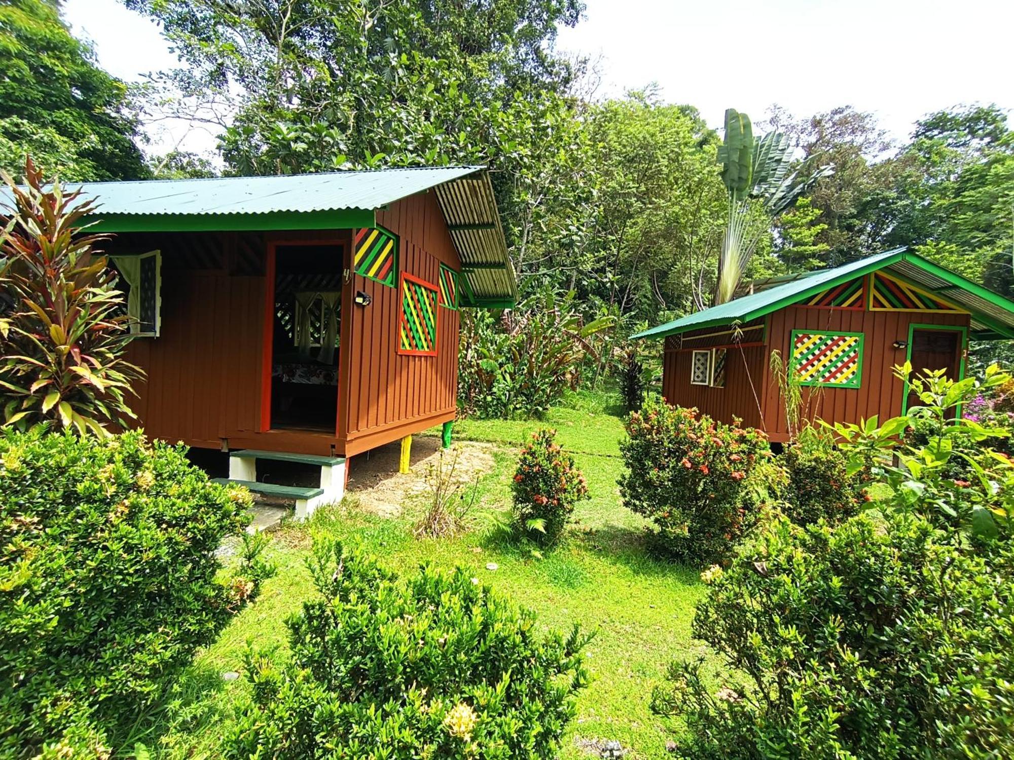 Alouatta Lodge And Canopy Кахуіта Екстер'єр фото