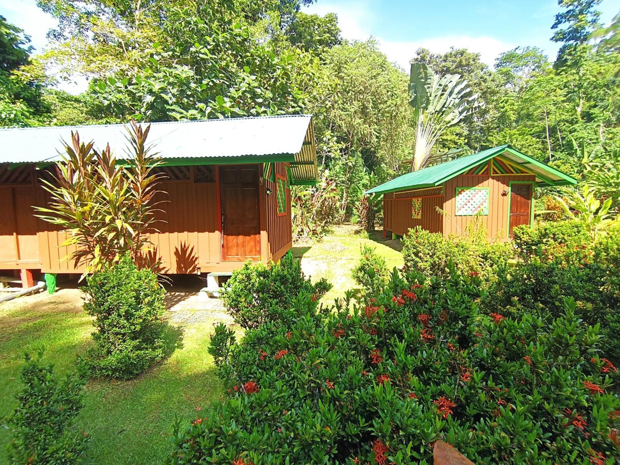Alouatta Lodge And Canopy Кахуіта Екстер'єр фото