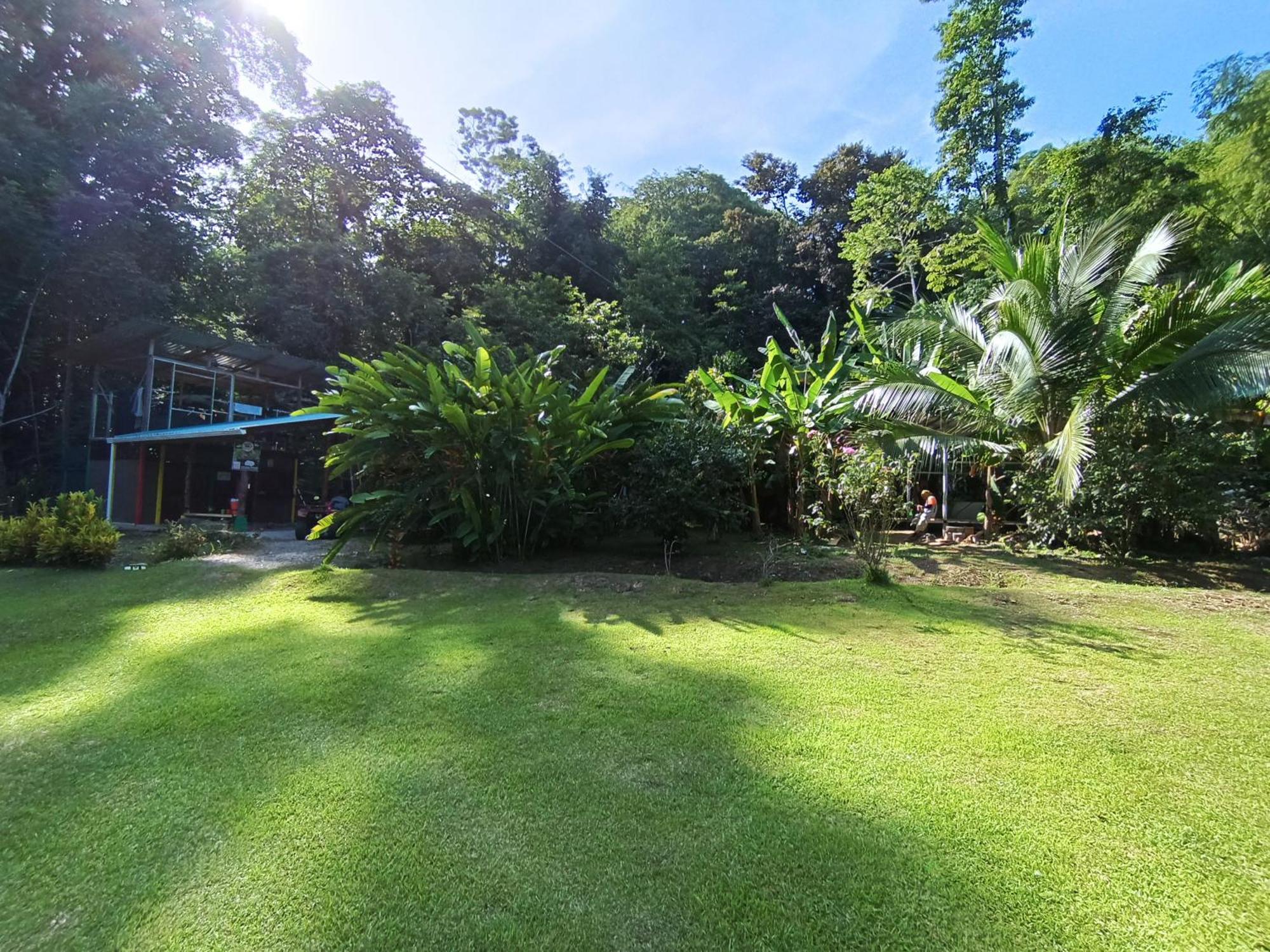 Alouatta Lodge And Canopy Кахуіта Екстер'єр фото